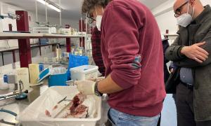 laboratorio ittiopatologia