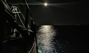 Pesca notturna S. Benedetto del T.
