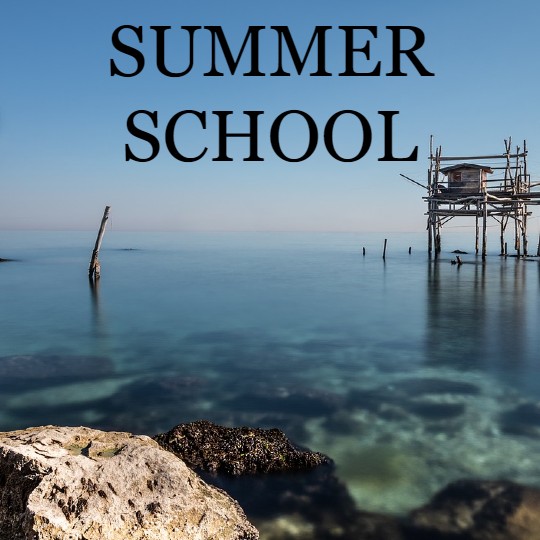 summer school